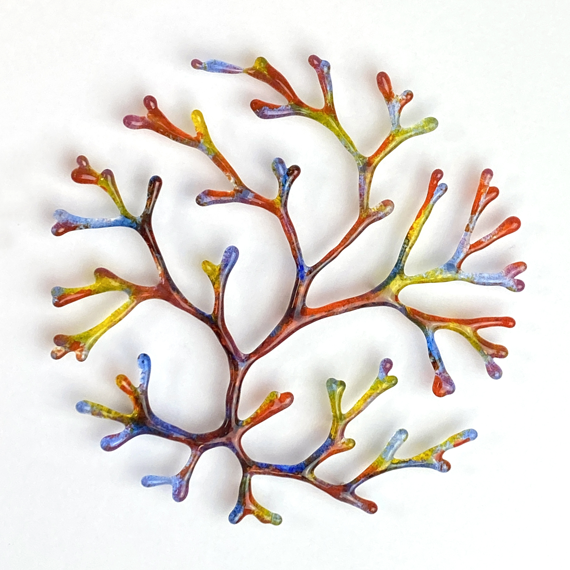 Branch Coral Study, Multicoloured Branch Coral Study, Multicoloured